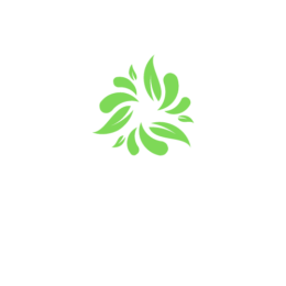 The Spring at Lifespring